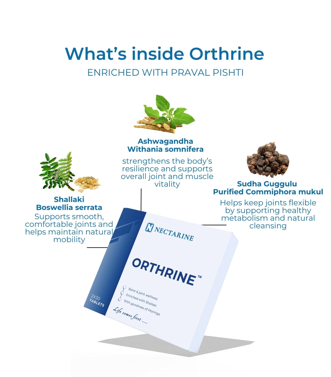 Orthrine